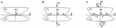 Stress Distributions in the Cattaneo–Mindlin Problem on a Contact With Slip and Adhesion of Two Cylindrical Bodies